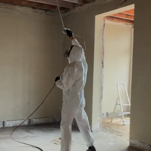 fumigacion marco puerta termitas in situ