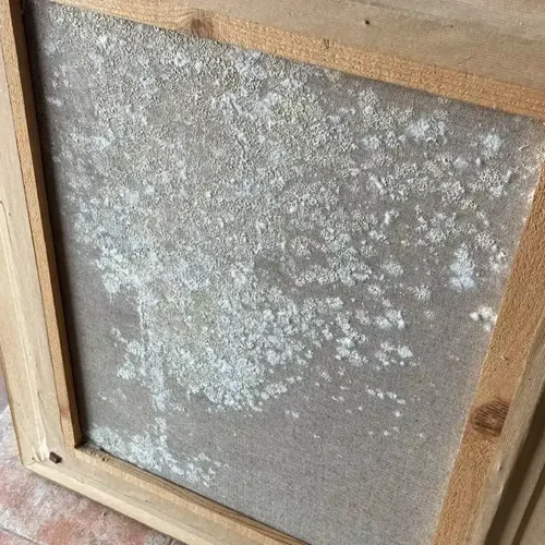 hongo marcos ventana madera