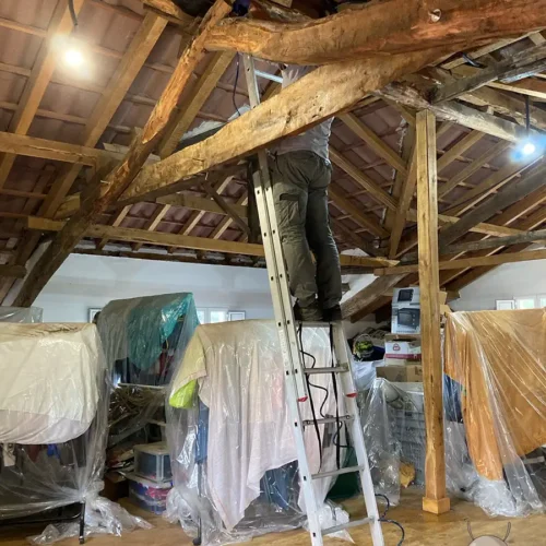 inspeccion desvanes trasteros riesgo carcoma