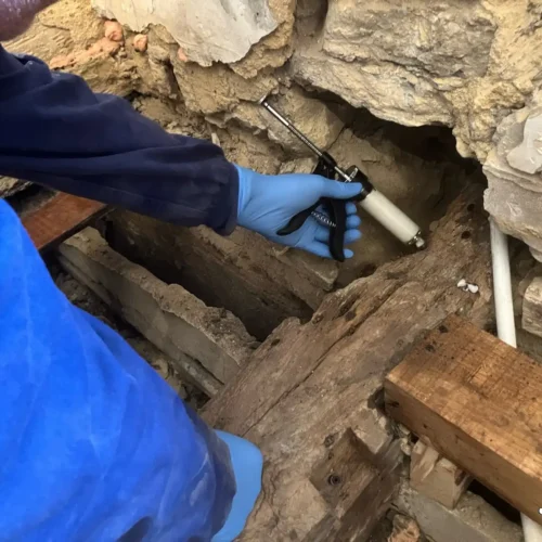 localizacion nidos termitas muro piedra