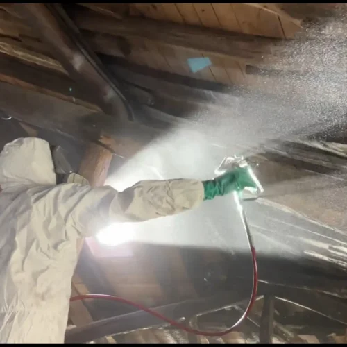 nebulizacion insecticida vigas altas