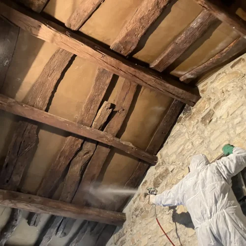 pulverizacion gel insecticida vigas