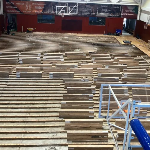 reparacion suelo madera daños plagas