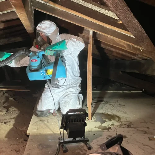 tecnicos fumigacion vigas buhardilla