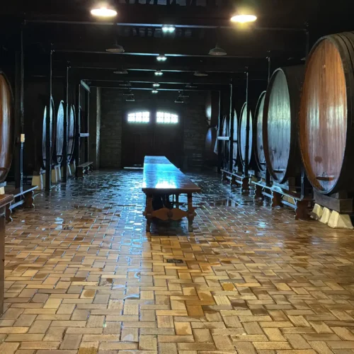 tratamiento carcoma bodega barricas